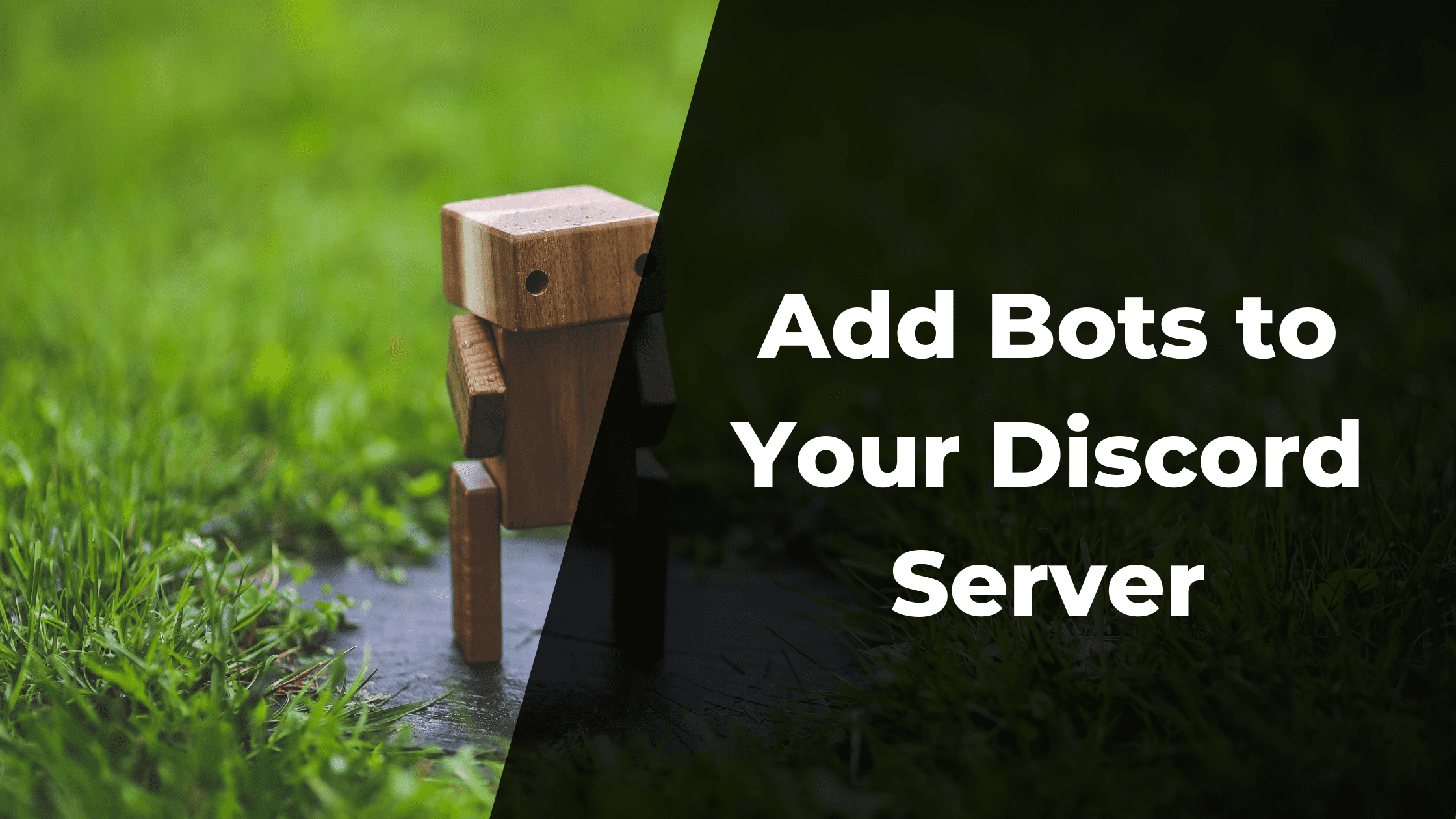 Add Bots to Your Discord Server