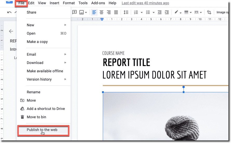 publish to the web